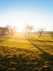 The Favorite Concubi The Favorite Concubi