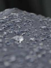 My seven stunning an