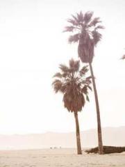 Dangerously Close to