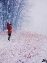 Fu Zi Mo Qin Luo Yan