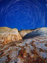 The strongest qi ref The strongest qi ref