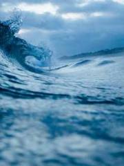 One Night Marriage P