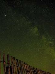 King of the Nine Pro