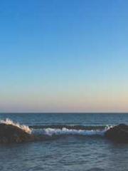 The Apothecaryapos;s