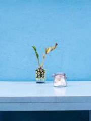 Celestial Eye: Peerl