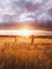 The Ugly Womanapos;s The Ugly Womanapos;s