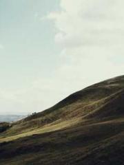 lt;The big shot only lt;The big shot only