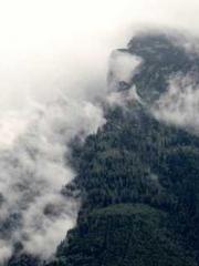 Super husband Lin Xi