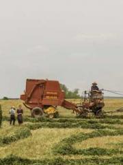 Yellow Spring Expres Yellow Spring Expres