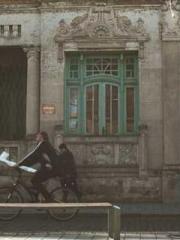 RONG Zhaonan NING Yu