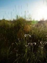 lt;lt;The Trash Husb