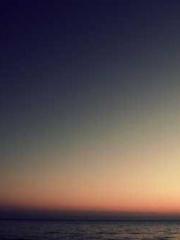 Transmigration: Feel