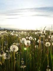 Falling for You: The