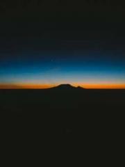 Rebirth as a Court A