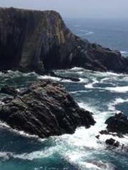 Retired War God Yang