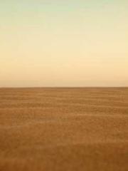 The Imperial Concubi