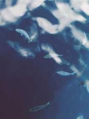 Wang Xuan Mu Qingyue