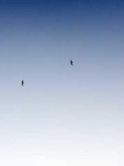 Mr. Shen, overdue an