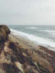 My projections are a