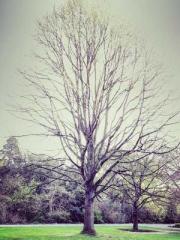 The master descended The master descended