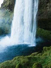 Unbound by any rules