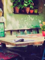 My pets are all amaz