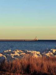 The Favorite Concubi